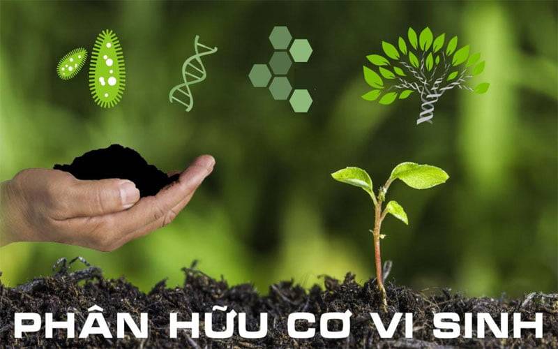Phân biệt phân hữu cơ vi sinh và phân vi sinh - GLaw Vietnam